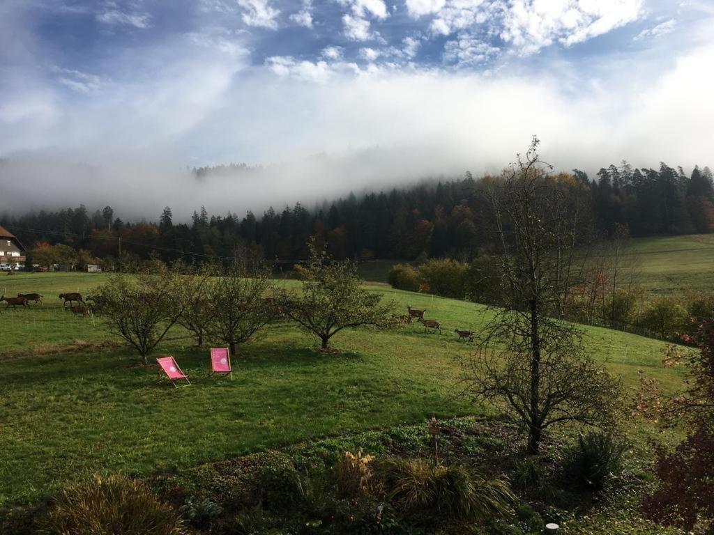 Schwarzwild - Ferienwohnung Und Ferienzimmer Baiersbronn Bagian luar foto