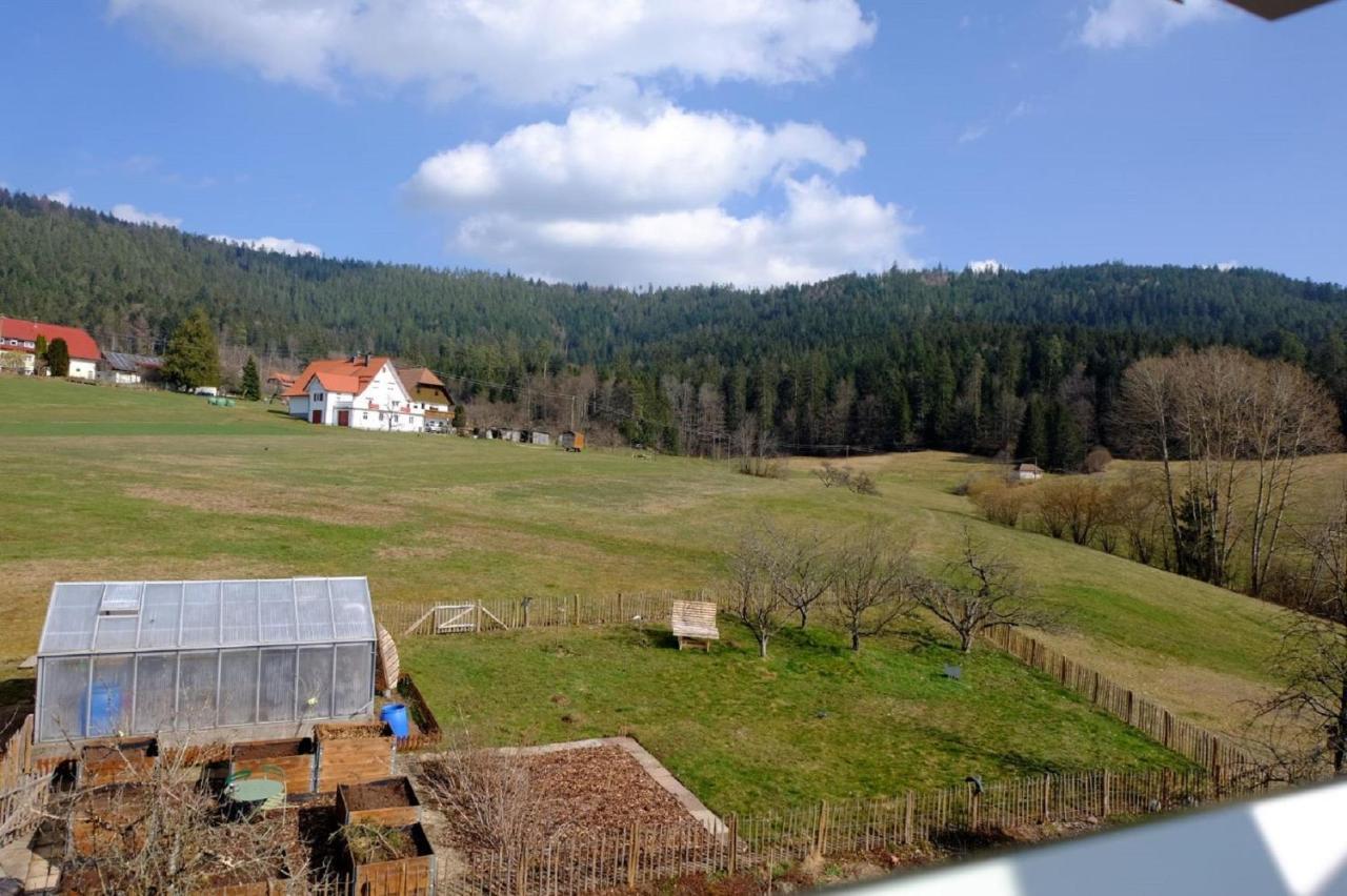 Schwarzwild - Ferienwohnung Und Ferienzimmer Baiersbronn Bagian luar foto