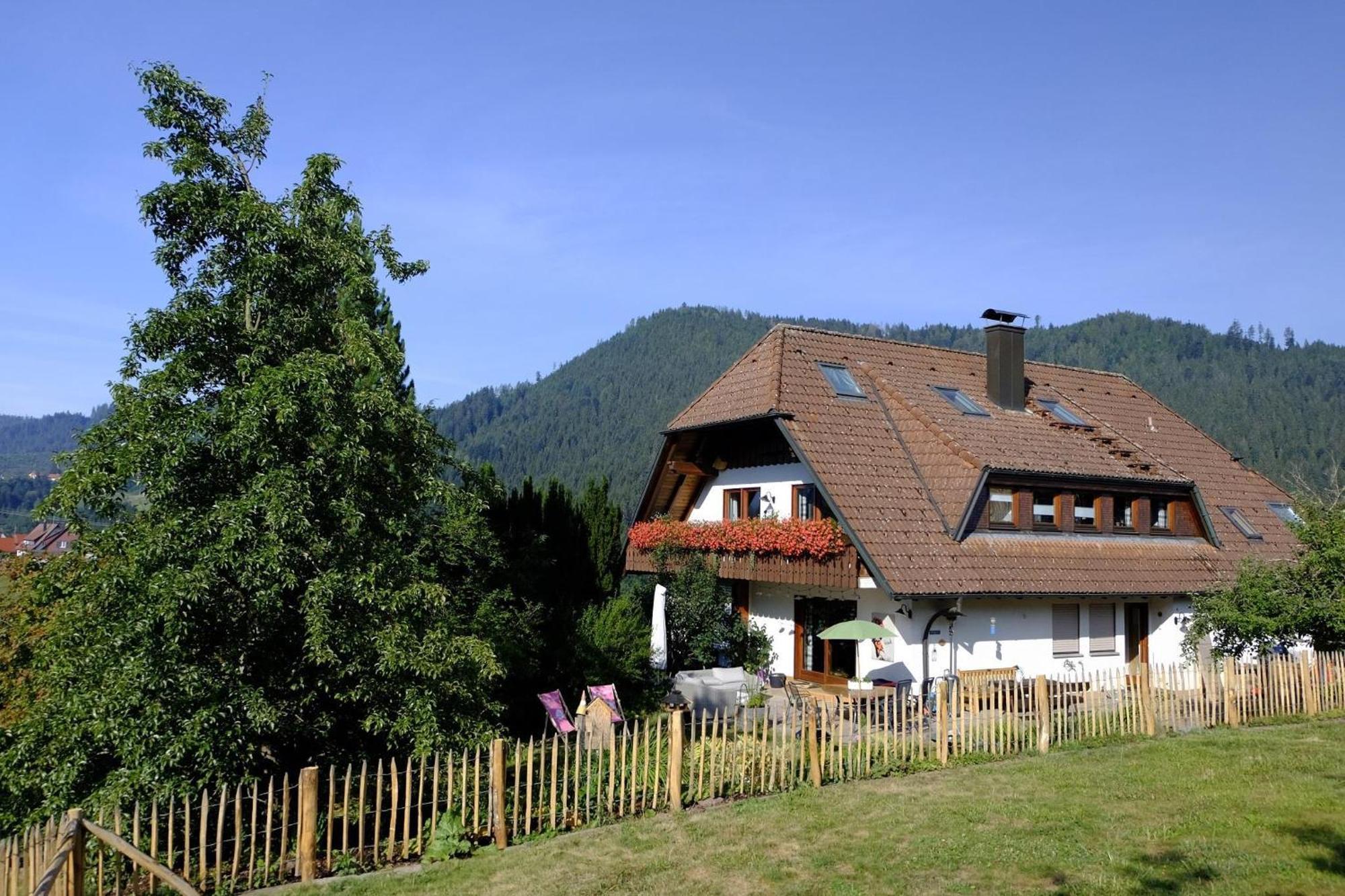 Schwarzwild - Ferienwohnung Und Ferienzimmer Baiersbronn Bagian luar foto